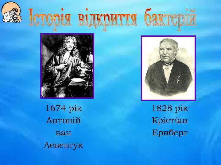 1674 рік Антоній ван Левенгук 1828 рік Крістіан Ернберг 