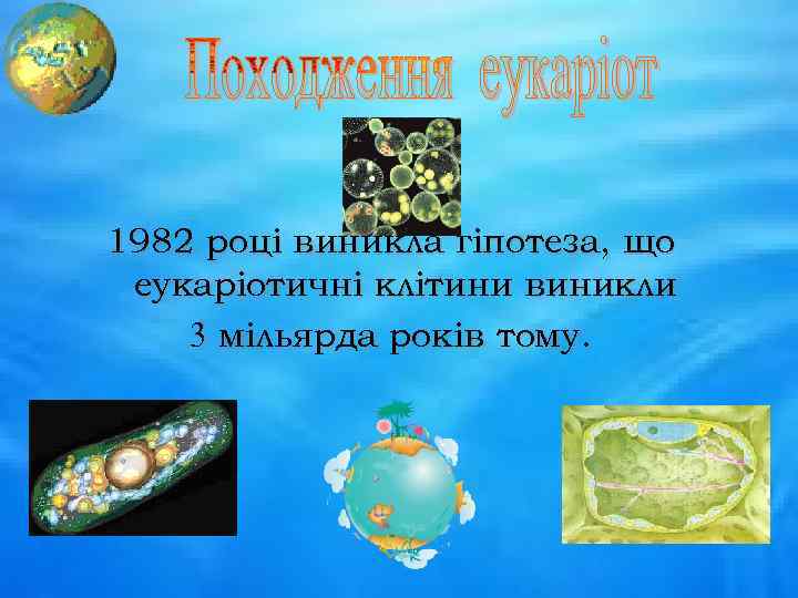 1982 році виникла гіпотеза, що еукаріотичні клітини виникли 3 мільярда років тому. 