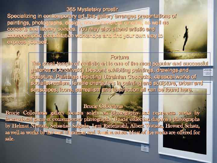 365 Mystetsky prostіr Specializing in contemporary art, this gallery arranges presentations of paintings, photographs,