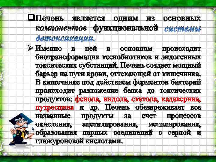 q. Печень является одним из основных компонентов функциональной системы детоксикации. Ø Именно в ней