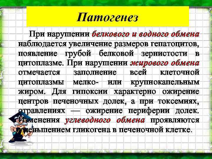 Патогенез При нарушении белкового и водного обмена наблюдается увеличение размеров гепатоцитов, появление грубой белковой