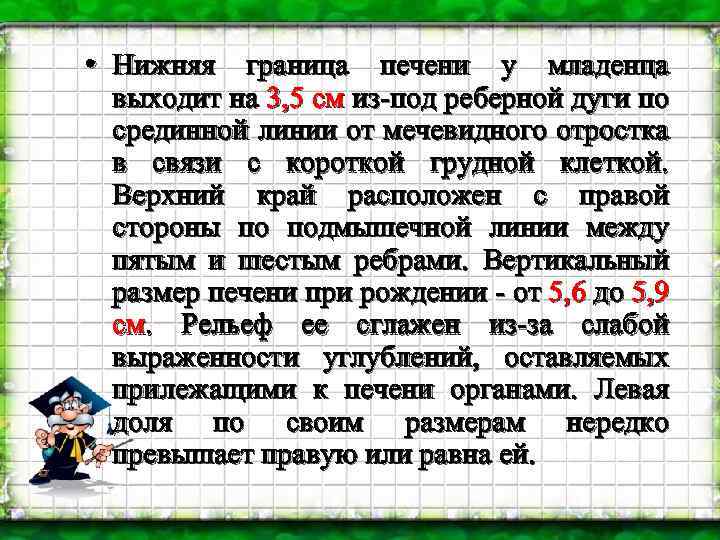  • Нижняя граница печени у младенца выходит на 3, 5 см из-под реберной