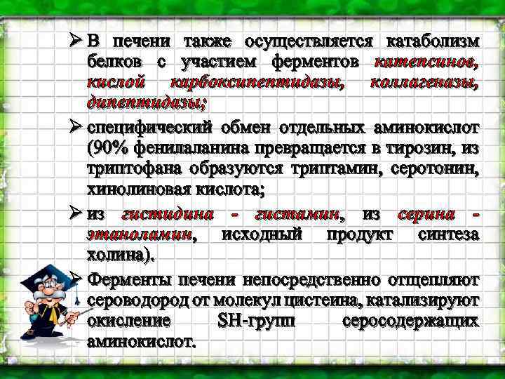 Ø В печени также осуществляется катаболизм белков с участием ферментов катепсинов, кислой карбоксипептидазы, коллагеназы,