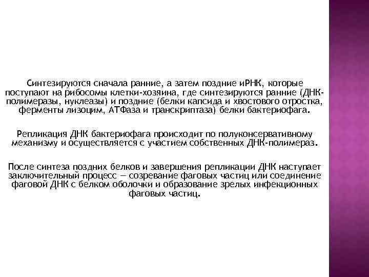 Синтезируются сначала ранние, а затем поздние и. РНК, которые поступают на рибосомы клетки-хозяина, где