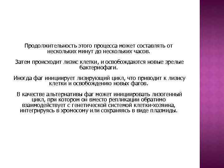 Продолжительность этого процесса может составлять от нескольких минут до нескольких часов. Затем происходит лизис
