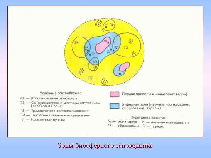 Зоны биосферного заповедника 