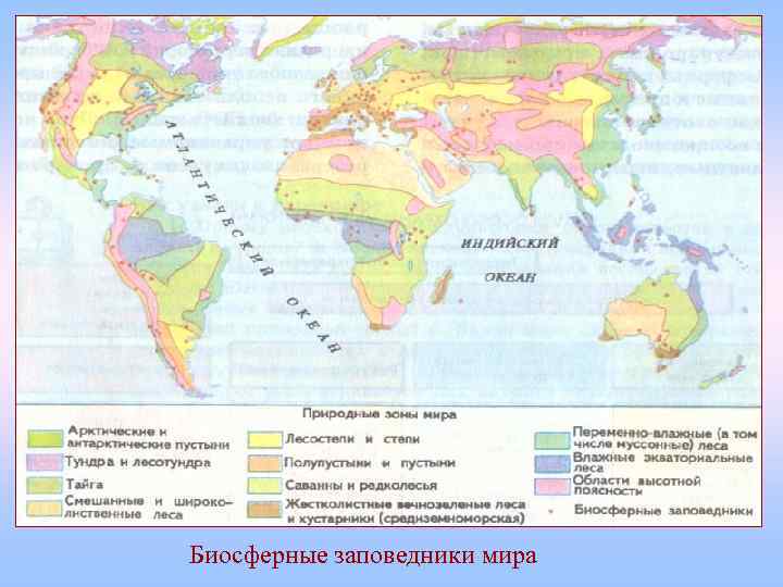 Биосферные заповедники мира 