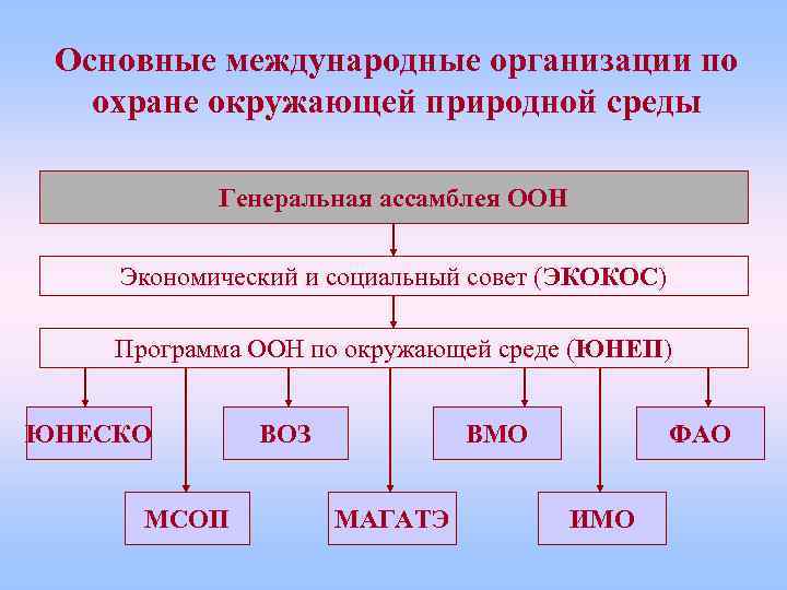 Основные международные организации по охране окружающей природной среды Генеральная ассамблея ООН Экономический и социальный