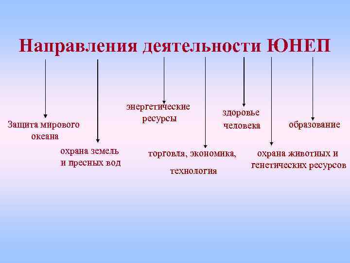 Направления деятельности ЮНЕП Защита мирового океана охрана земель и пресных вод энергетические ресурсы здоровье