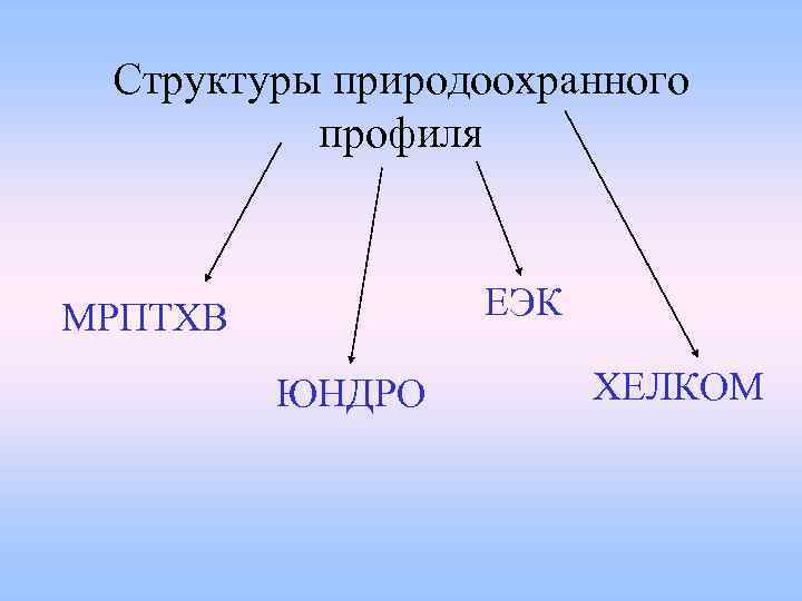 Структуры природоохранного профиля ЕЭК МРПТХВ ЮНДРО ХЕЛКОМ 