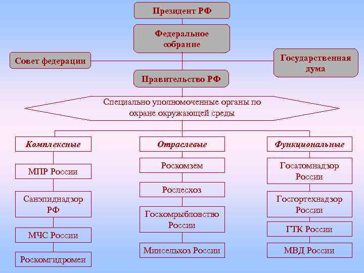 Президент РФ Федеральное собрание Государственная дума Совет федерации Правительство РФ Специально уполномоченные органы по