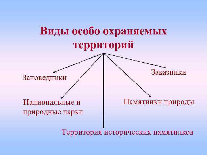 Виды особо охраняемых территорий Заповедники Национальные и природные парки Заказники Памятники природы Территория исторических