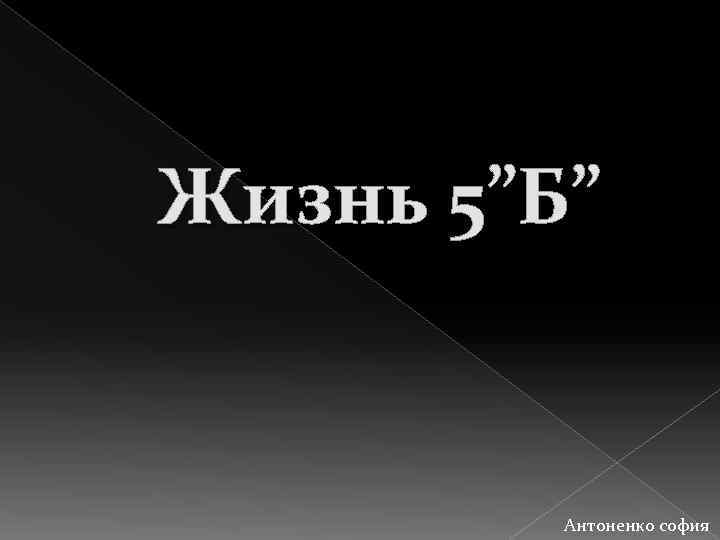 Жизнь 5”Б” Антоненко софия 