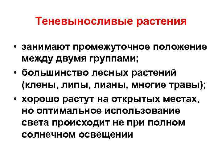 Теневыносливые растения • занимают промежуточное положение между двумя группами; • большинство лесных растений (клены,