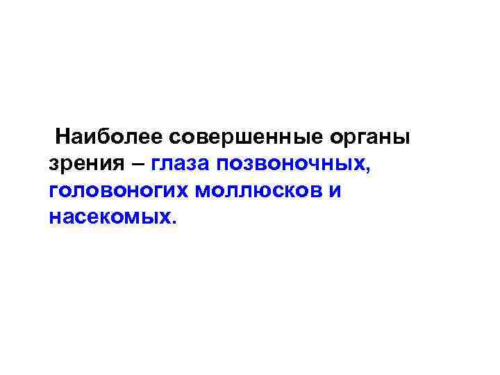  Наиболее совершенные органы зрения – глаза позвоночных, головоногих моллюсков и насекомых. 