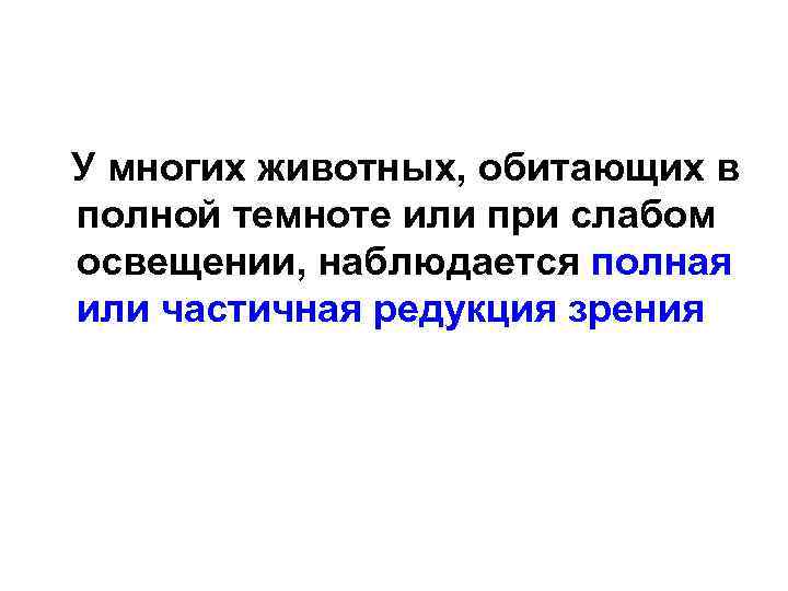  У многих животных, обитающих в полной темноте или при слабом освещении, наблюдается полная