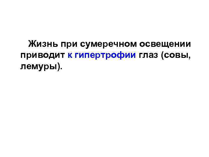  Жизнь при сумеречном освещении приводит к гипертрофии глаз (совы, лемуры). 