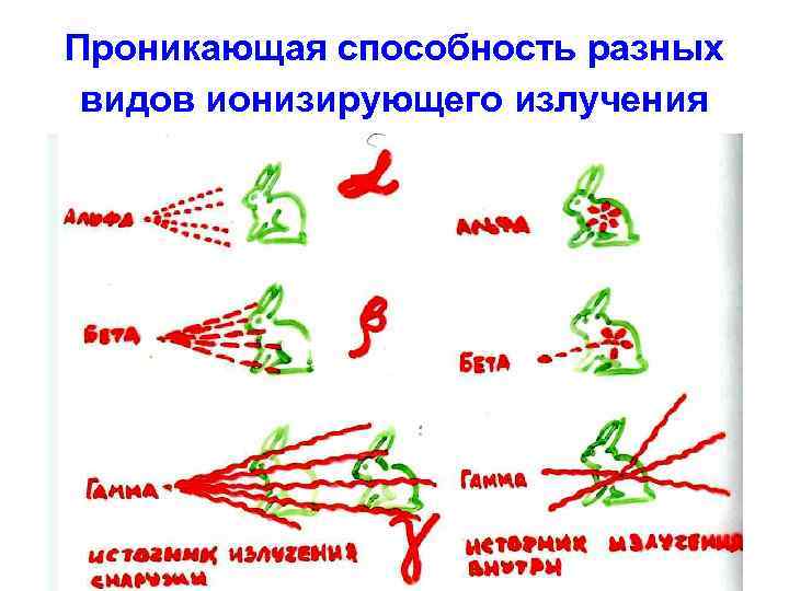 Проникающая способность разных видов ионизирующего излучения 