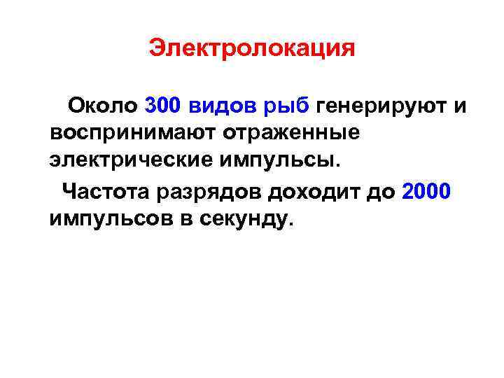 Электролокация Около 300 видов рыб генерируют и воспринимают отраженные электрические импульсы. Частота разрядов доходит