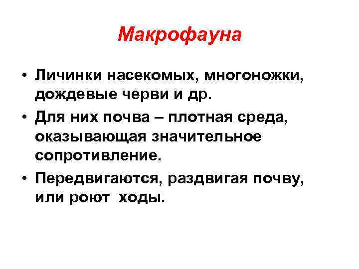 Макрофауна • Личинки насекомых, многоножки, дождевые черви и др. • Для них почва –