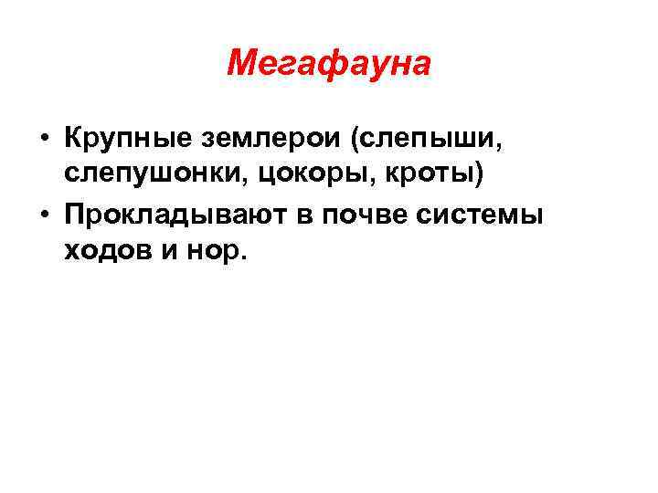 Мегафауна • Крупные землерои (слепыши, слепушонки, цокоры, кроты) • Прокладывают в почве системы ходов