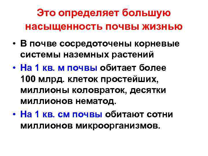 Это определяет большую насыщенность почвы жизнью • В почве сосредоточены корневые системы наземных растений