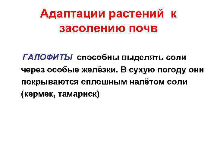 Адаптации растений к засолению почв ГАЛОФИТЫ способны выделять соли через особые желёзки. В сухую