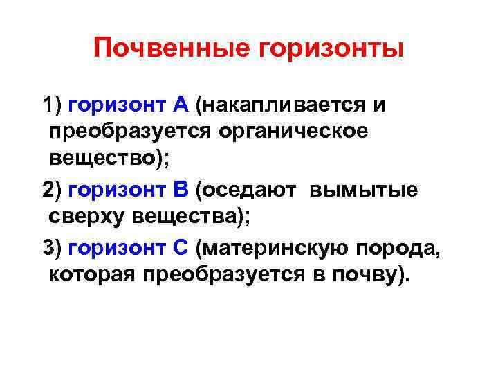 Почвенные горизонты 1) горизонт А (накапливается и преобразуется органическое вещество); 2) горизонт В (оседают