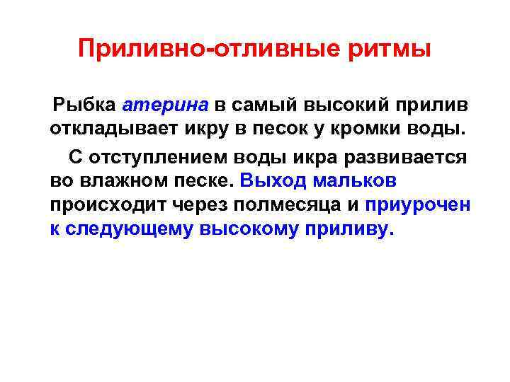 Приливно-отливные ритмы Рыбка атерина в самый высокий прилив откладывает икру в песок у кромки