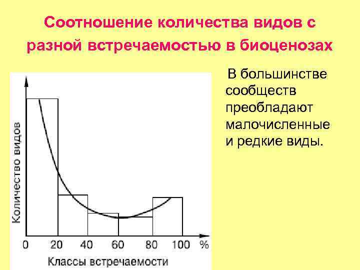 Соотношение количества видов с разной встречаемостью в биоценозах В большинстве сообществ преобладают малочисленные и