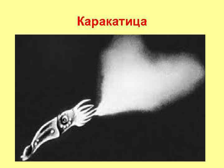 Каракатица 
