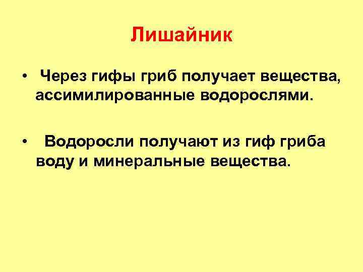 Лишайник • Через гифы гриб получает вещества, ассимилированные водорослями. • Водоросли получают из гиф