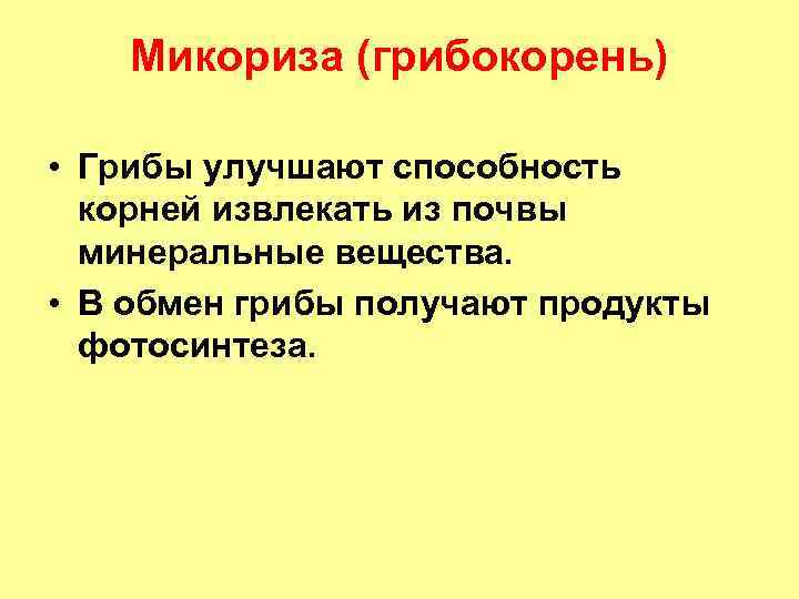 Микориза (грибокорень) • Грибы улучшают способность корней извлекать из почвы минеральные вещества. • В
