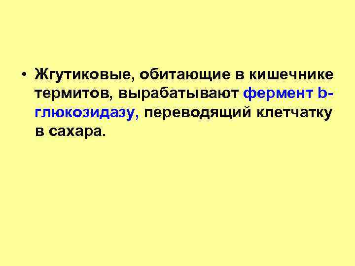  • Жгутиковые, обитающие в кишечнике термитов, вырабатывают фермент bглюкозидазу, переводящий клетчатку в сахара.