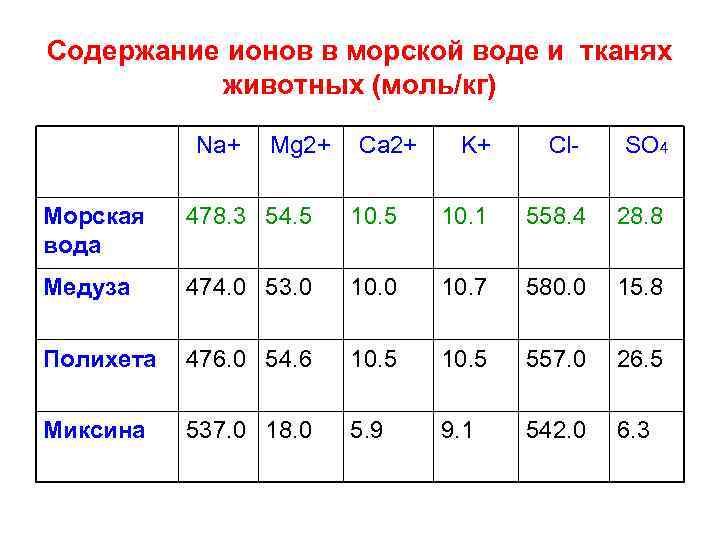 Содержание ионов в морской воде и тканях животных (моль/кг) Na+ Mg 2+ Ca 2+