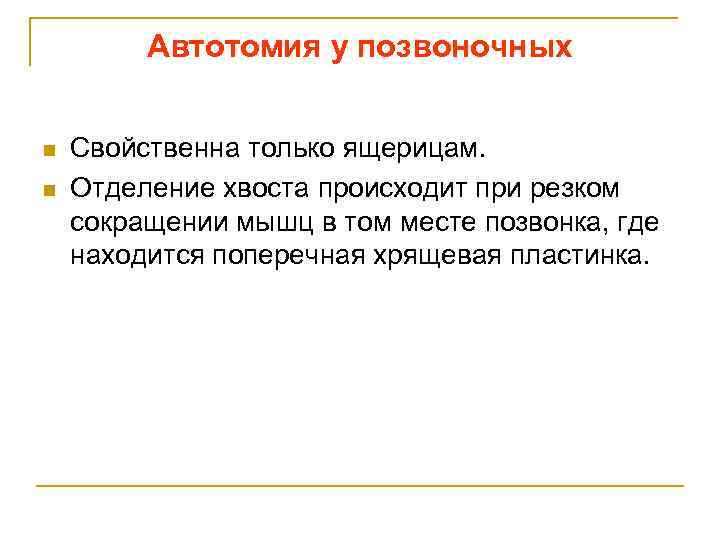 Автотомия у позвоночных n n Свойственна только ящерицам. Отделение хвоста происходит при резком сокращении
