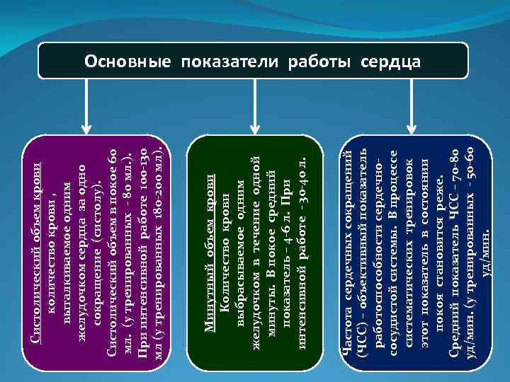 Частота сердечных сокращений (ЧСС) – объективный показатель работоспособности сердечнососудистой системы. В процессе систематических тренировок