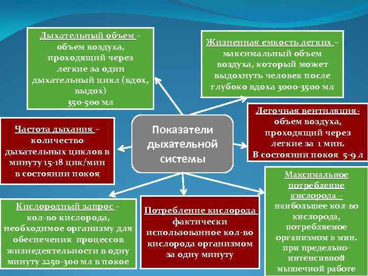 Дыхательный объем – объем воздуха, проходящий через легкие за один дыхательный цикл (вдох, выдох)