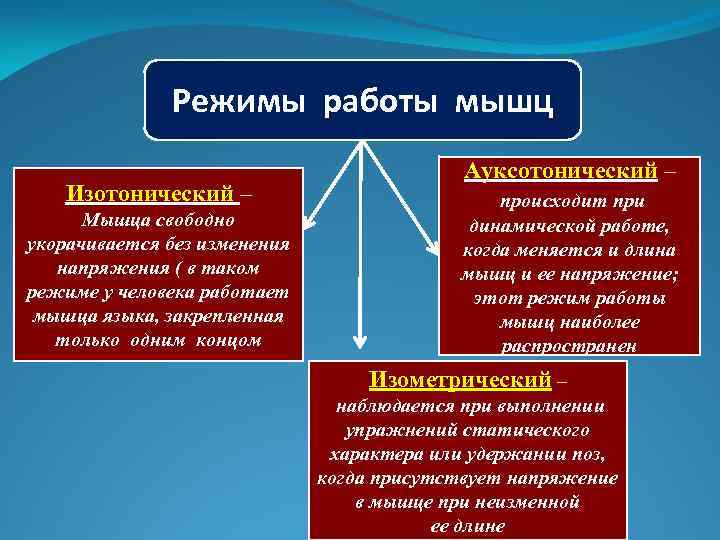 Режим мышц. Режимы мышечной работы. Режимы деятельности мышц. Назовите режимы работы мышц.. Перечислите основные режимы работы мышц.