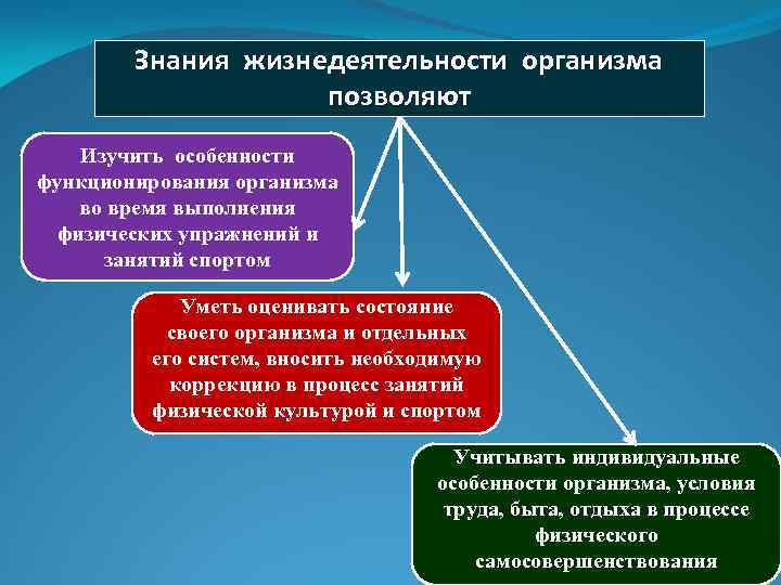 Знания жизнедеятельности организма позволяют Изучить особенности функционирования организма во время выполнения физических упражнений и