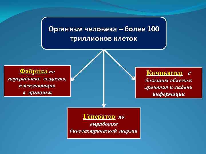 Организм человека – более 100 триллионов клеток Фабрика по Компьютер с переработке веществ, поступающих