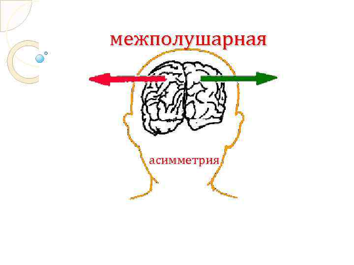 Межполушарная асимметрия картинки