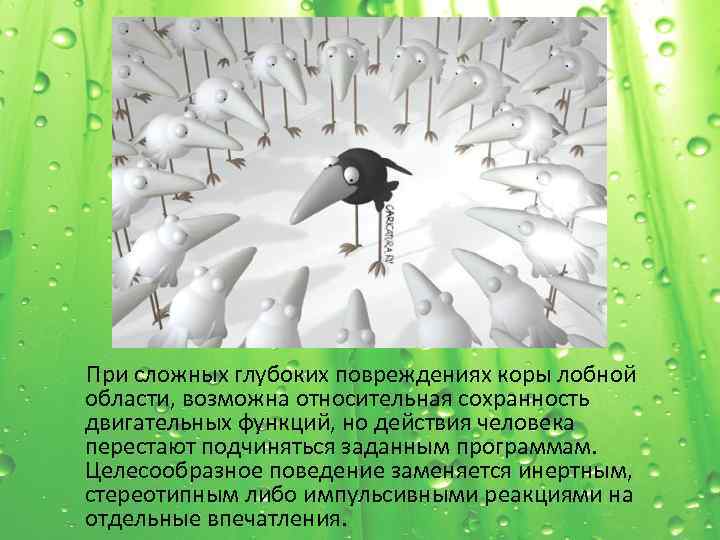  При сложных глубоких повреждениях коры лобной области, возможна относительная сохранность двигательных функций, но