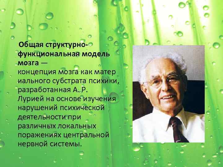  Общая структурнофункциональная модель мозга — концепция мозга как матер иального субстрата психики, разработанная