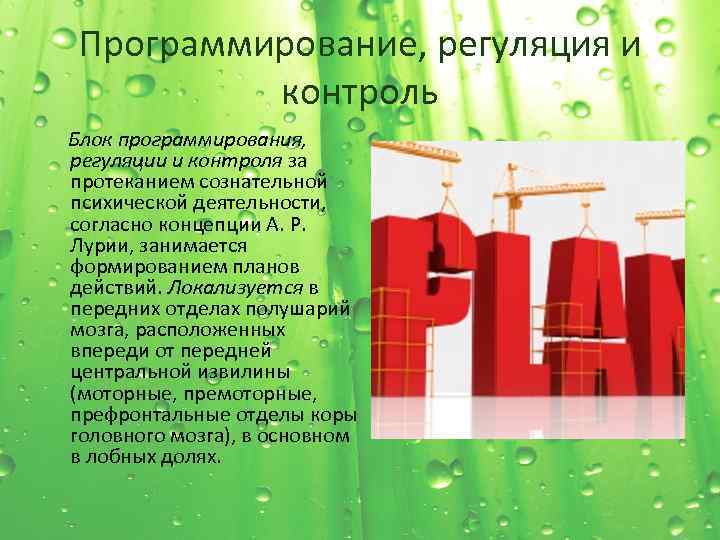 Программирование, регуляция и контроль Блок программирования, регуляции и контроля за протеканием сознательной психической деятельности,