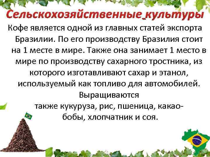 Сельскохозяйственные культуры Кофе является одной из главных статей экспорта Бразилии. По его производству Бразилия