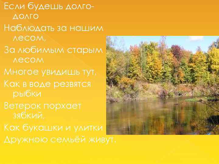 Если будешь долго Наблюдать за нашим лесом, За любимым старым лесом Многое увидишь тут,