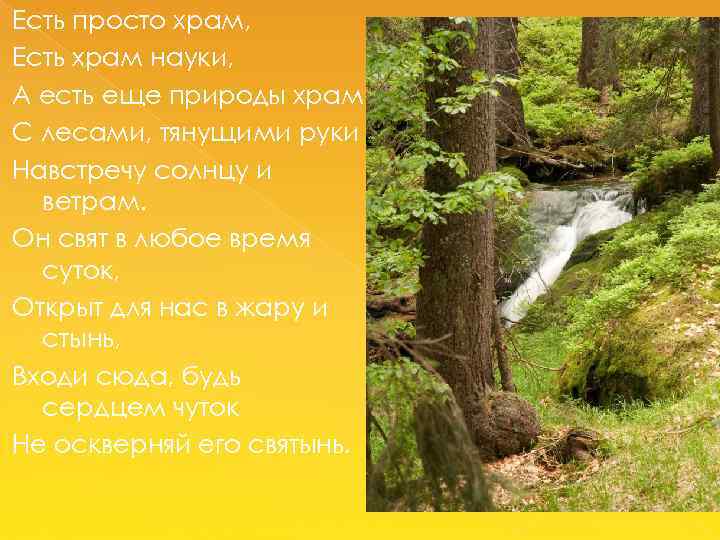 Есть просто храм, Есть храм науки, А есть еще природы храм С лесами, тянущими