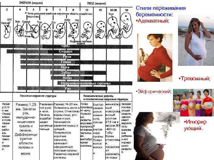 Стили переживания беременности: • Адекватный; • ЦНС Сердце Руки Глаза Ноги Зубы Нёбо Наружные