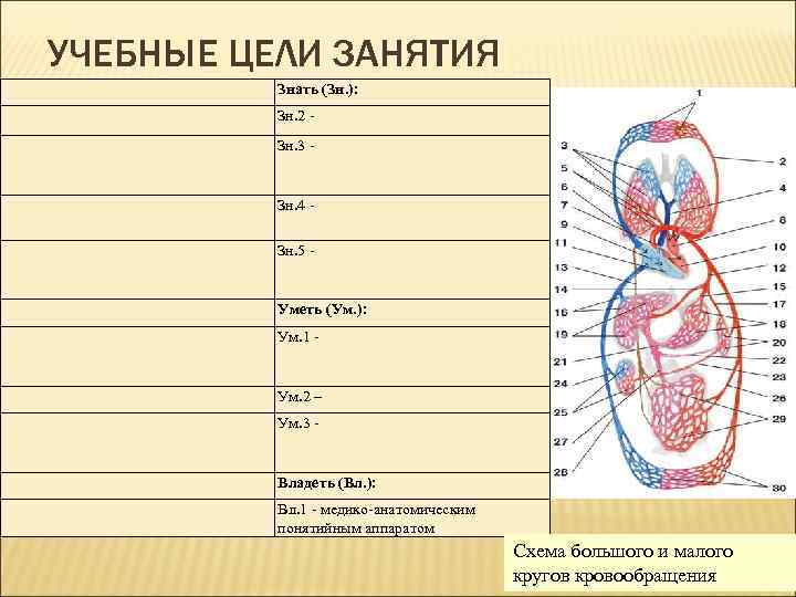 УЧЕБНЫЕ ЦЕЛИ ЗАНЯТИЯ Знать (Зн. ): Зн. 2 Зн. 3 Зн. 4 Зн. 5